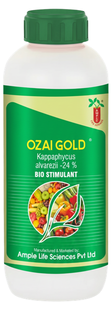 Ozai Gold bio stimulant bottle